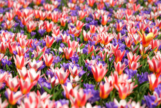 938560 (a): :2400x1602